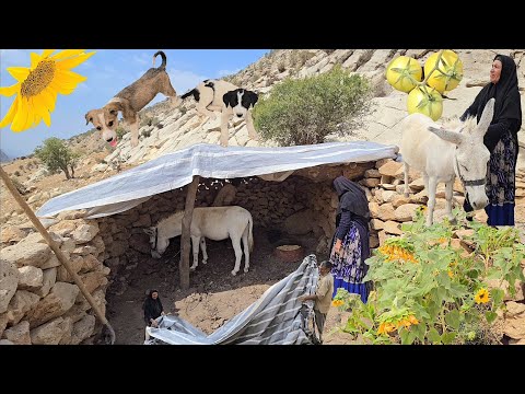 Building a natural shelter for a donkey in the heart of the