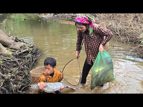 Damming the stream to catch large fish for sale—a peaceful