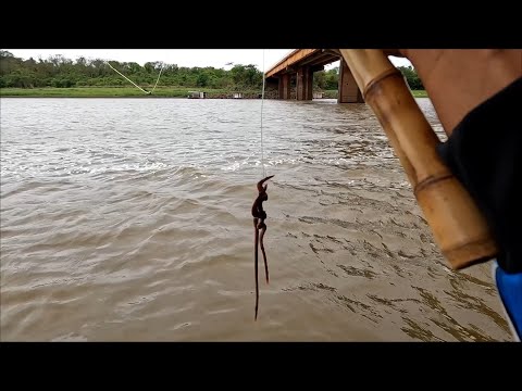 Mais uma Pescaria no período da piracema,dessa vez usando