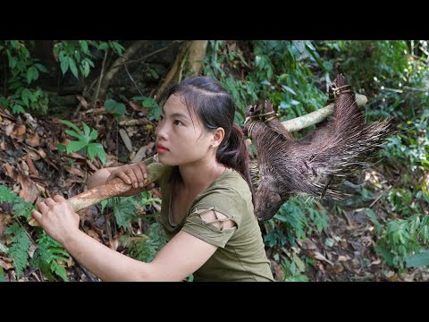 wild porcupine trap, build new shelter, survive in wild