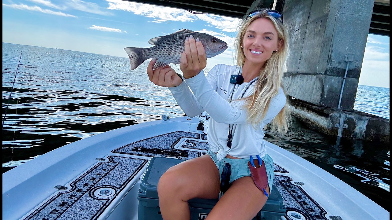 Catching Snapper Under Tampa's Biggest Bridge (Catch, Clean
