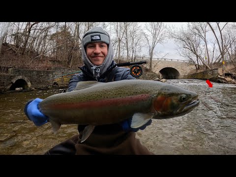 48 Hours Fishing GIANT Trout in the City - Solo Car Camping