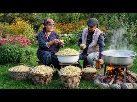 Chamomile Harvest – Preserving Summer for Winter