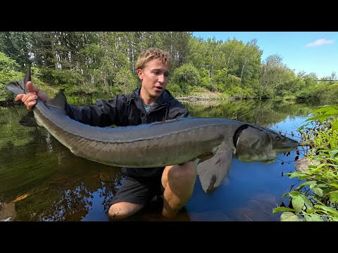 24 Hours Fishing & Car Camping for Sturgeon