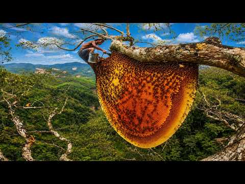 The perilous journey of a couple hunting for giant wild