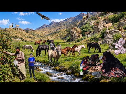 Nomadic Family Meets Wild Horses & Goats A Journey Into