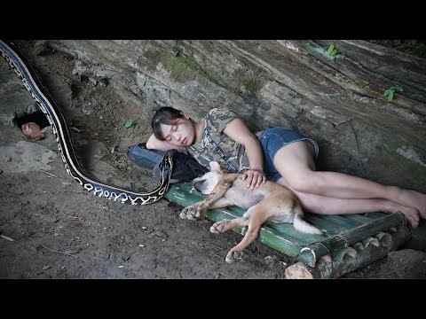 Giant Python Breaks Into Shelter While Sleeping, Survives