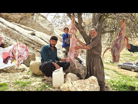 How do nomads butcher a goat in the mountains? The