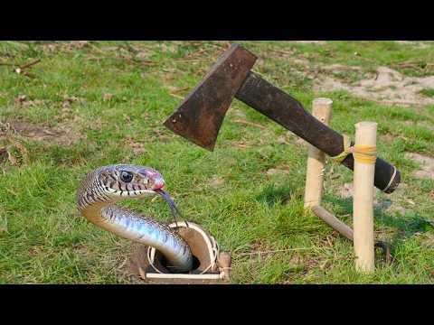 EASY SNAKE TRAP_ Installing Unique Quick Snake Trapping