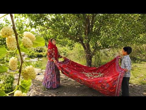 Sweet Village Life | Harvesting Fresh Mulberry & Baking