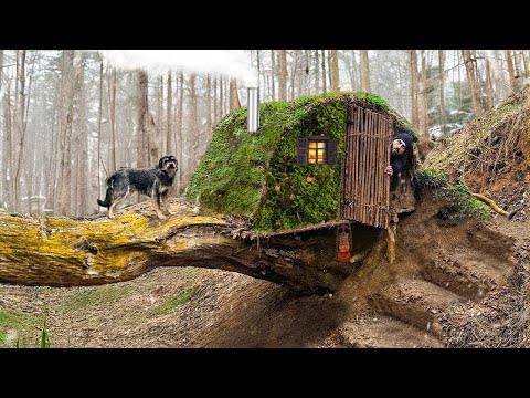 Building a Warm and Cozy Survival Shelter at the Root of a