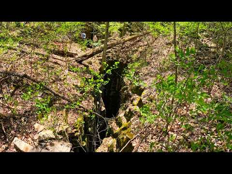 500 Foot Deep Crack In The Forest Floor