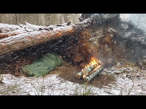 Shelter unter Baumstamm und Wurzeln mit Nodja-Feuer. Solo