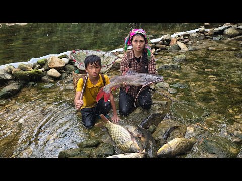Highland life, catching giant fish, and damming stream