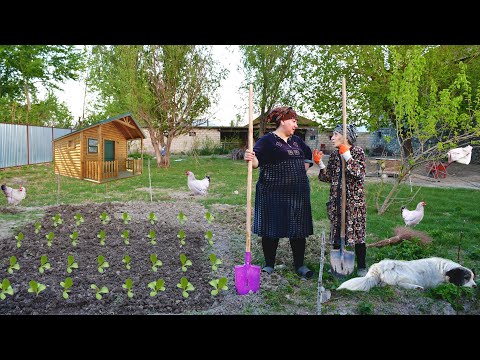 After 30 Years Later We're Rebuilding a our Farm | Episode