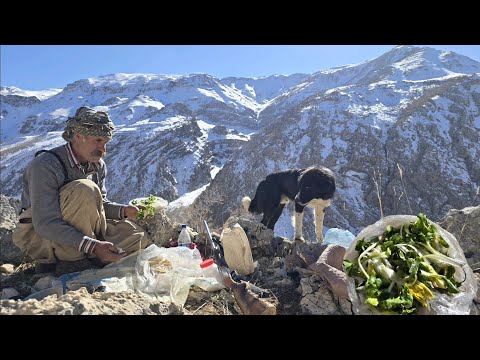 Iran nomadic life: Jahangir's journey to Sardsir to bring