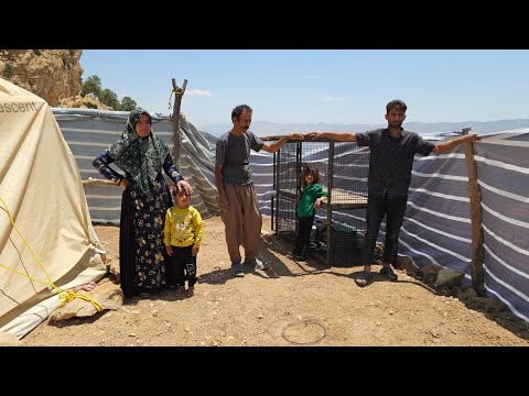 Family reunion in the mountains: Building a platform in the
