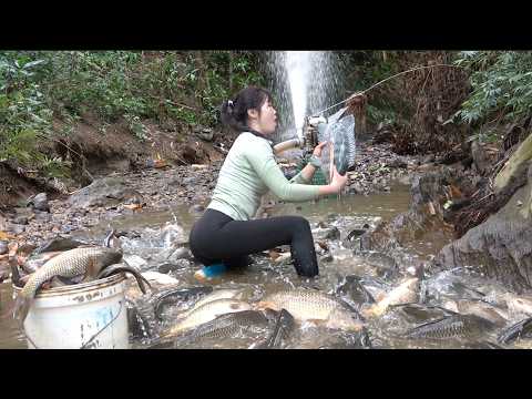 Interesting fishing: Use a pump drain the water from a