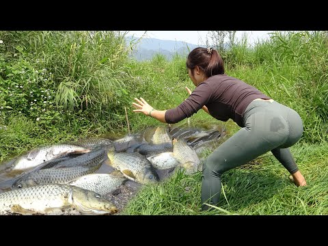 Amazing Fishing : The Girl Into the Woods Fishing,