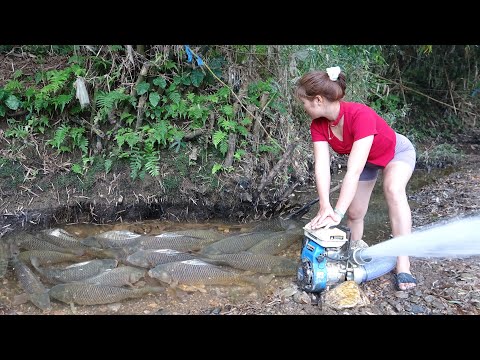 Fishing Videos | The Girl Use Cannon Pump Sucks Water,