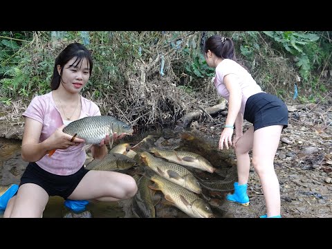 Amazing Fishing Video, Hunting Wild Fish, Survival Fishing