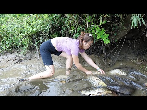 Hunting Wild Fish: Survival Skills, Unique Fishing,