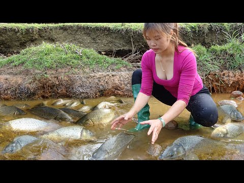 Amazing Fishing Techniques , Pump Water Outside The Lake,