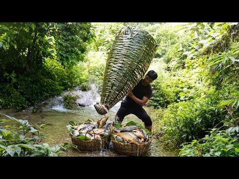 Catching Tons of Fish with a Giant Bamboo Trap Repairing