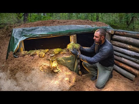A dugout in a wild forest I'm building a shelter of logs