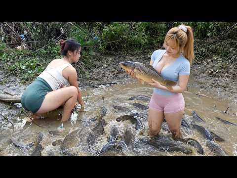Harvesting A Lot Of Big Fish At Fish Pond Go To Countryside