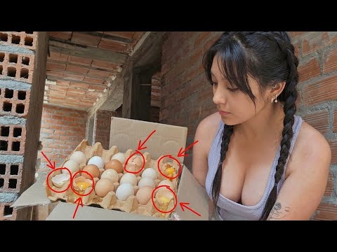 ​Me compré HUEVOS FÉRTILES por internet y MIRA que cosa me