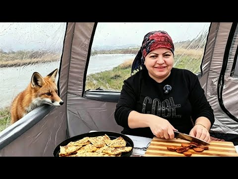 ELİMİZLE TİLKİ BESLEDİK KAMPTA @Bizimailekampta #kamp