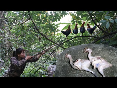 hunting wild chickens at night, making dining tables,