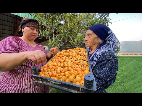 PARADISE APPLES | MAKING HOMEMADE APPLE JAM AND LECHO