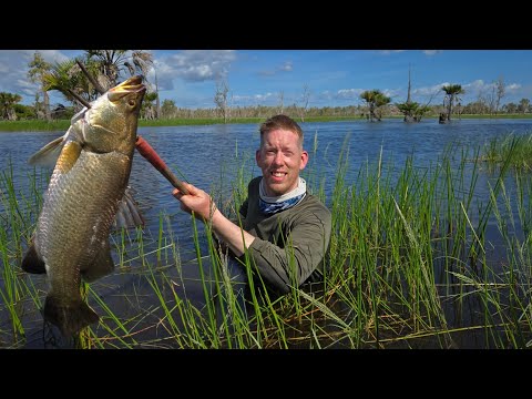 2 Weeks in Australia - Swimming with Crocodiles, Racing