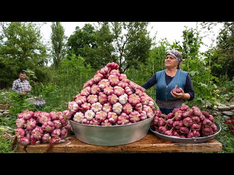 Spring’s First Garlic Harvest Rustic Eggplant and Beef