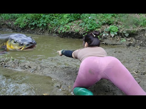 Full Videos: Village Girl Fishing, Harvesting Lots Of Big
