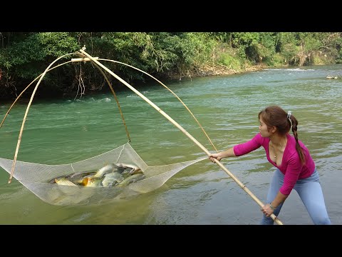 How to Bait Fish in The River, Catch Fish With Fishing Nets