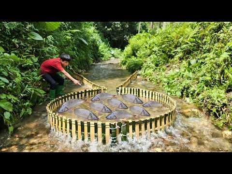 Masterful fish-catching skills Lam uses woven bamboo to