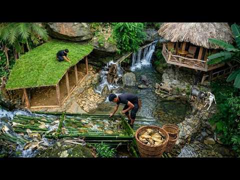 Building a Green Grass Roof for My Forest Kitchen