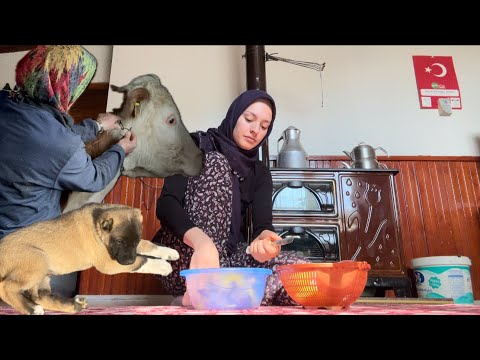 KÖYDE YAŞAM DAMIZLIKLAR MERAYA ÇIKIYOR ANNEMLE AKŞAM