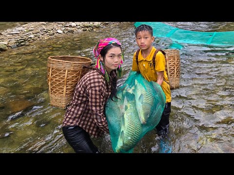 Fish trapping techniques, herding fish into traps, catching