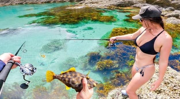 Weird Fish Crystal Clear Water -Island Camping
