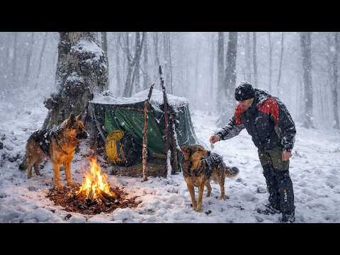 A Deadly Night at 2000 Meters Snow, Fire, and Loyal Dogs