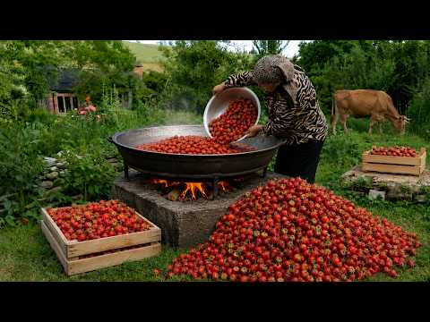 Strawberry Harvest Season – Preserving Summer for Winter