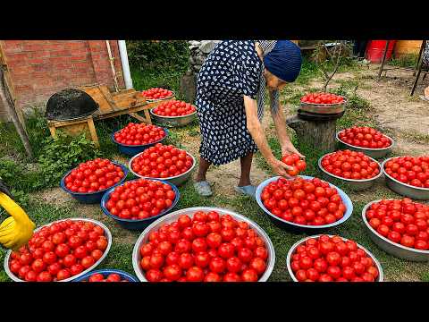 Preserve fresh tomatoes for years | Harvesting from the