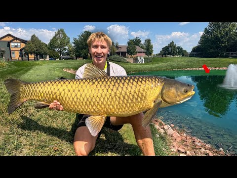 These PRIVATE Ponds are FULL of GIANT Fish