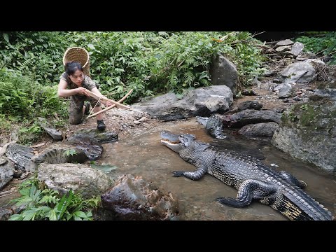 crocodile detection, crocodile trapping skills, picking up