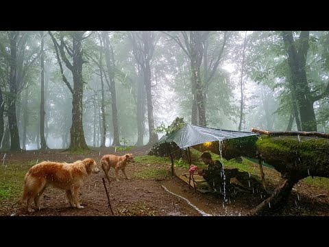 Camp in Heavy Rain – Shelter Under a Fallen Tree with Three