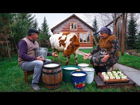 Caucasian Cheese Making From Fresh Milk to Delicious